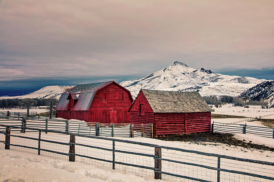 Winter Farm Scene In Colorado #1 Photograph by Mountain Dreams