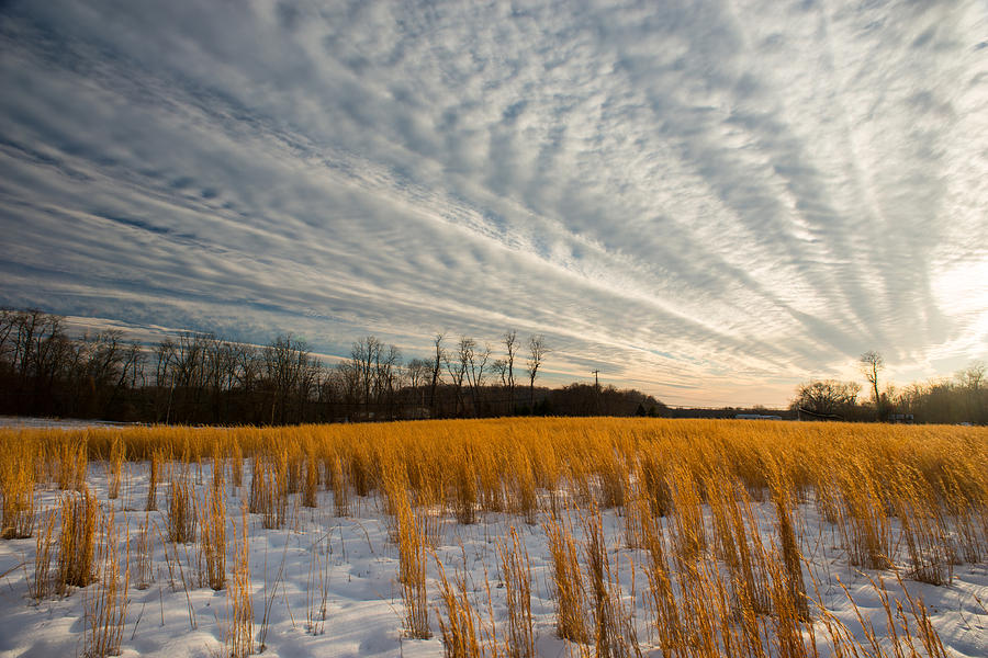 Winter Field - Maryland #1 Photograph by Dana Sohr