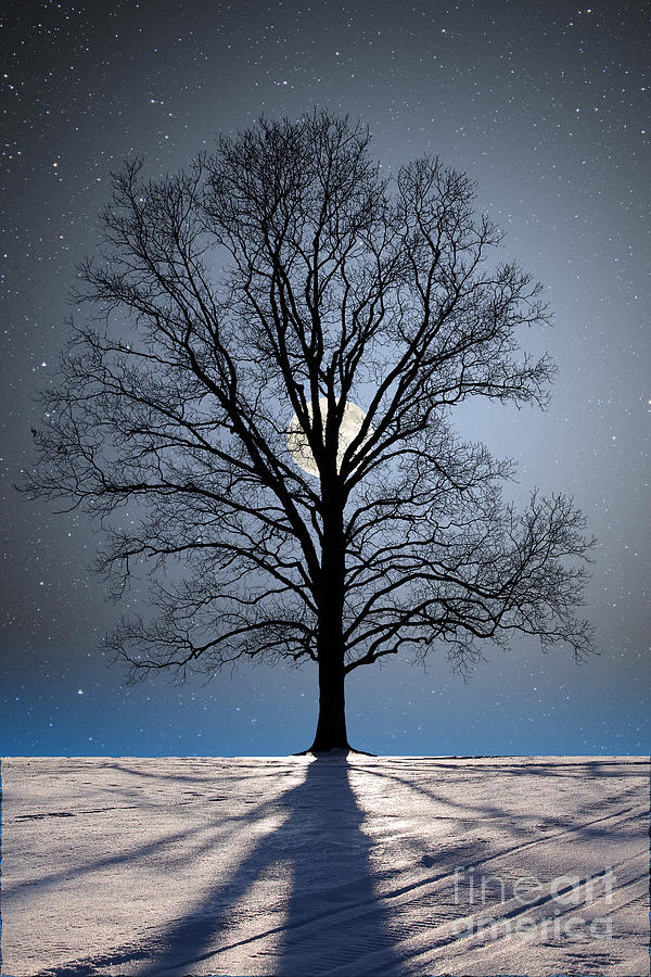 Winter Full Moon #1 Photograph by Larry Landolfi