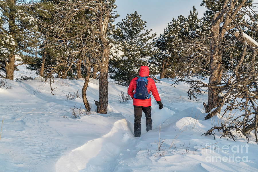 winter hiking in Colorado #1 Photograph by Marek Uliasz