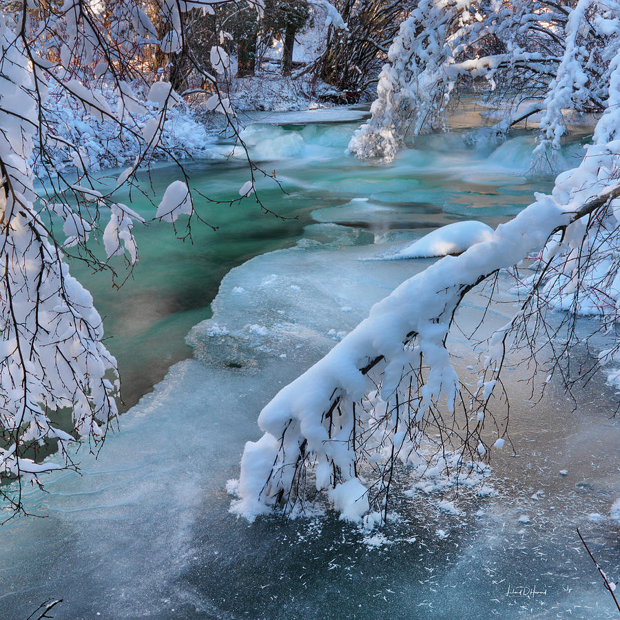 Winter Hues #2 Photograph by Leland D Howard