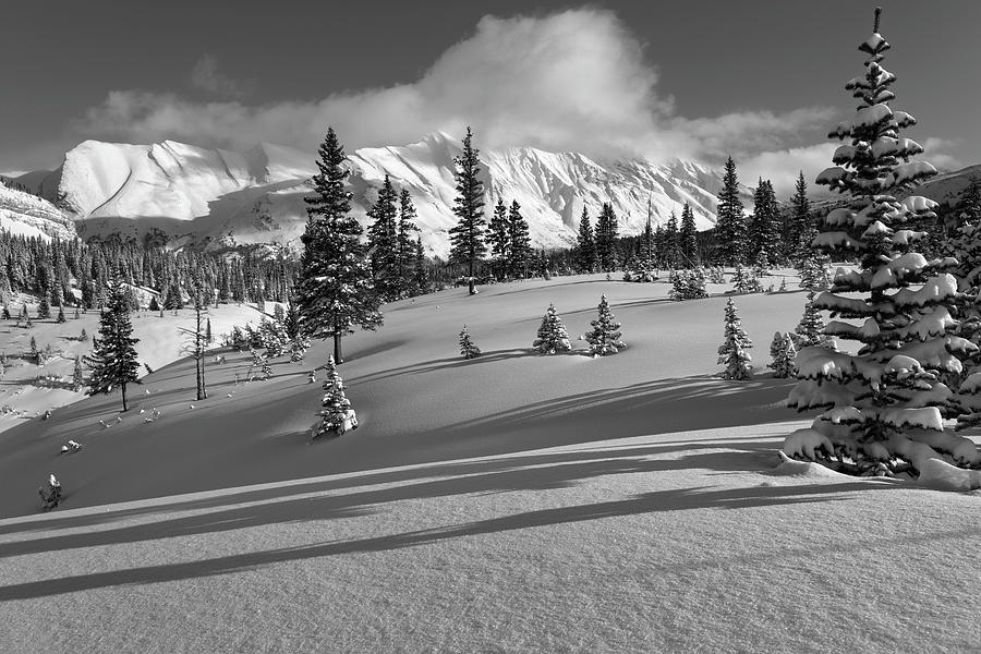 Winter in Banff #1 Photograph by Dan Jurak