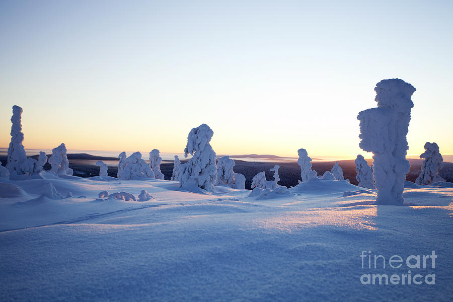 Winter in Lapland Finland #1 Photograph by Kati Finell