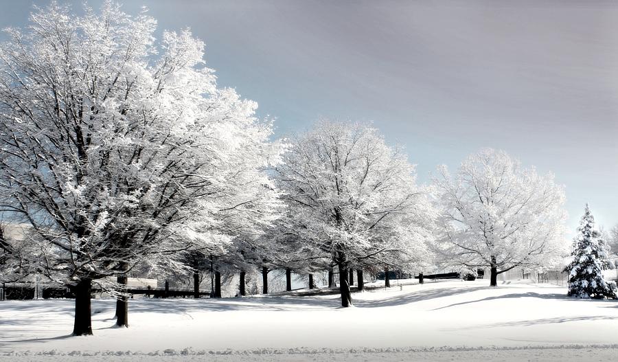 Winter in Morgantown Photograph by Michael Forte - Fine Art America