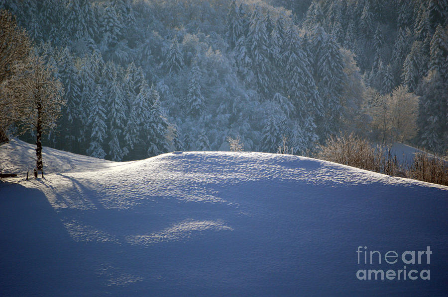 Winter in Switzerland - Snowy Hills #1 Photograph by Susanne Van Hulst