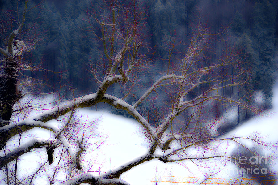 Winter in Switzerland #1 Photograph by Susanne Van Hulst