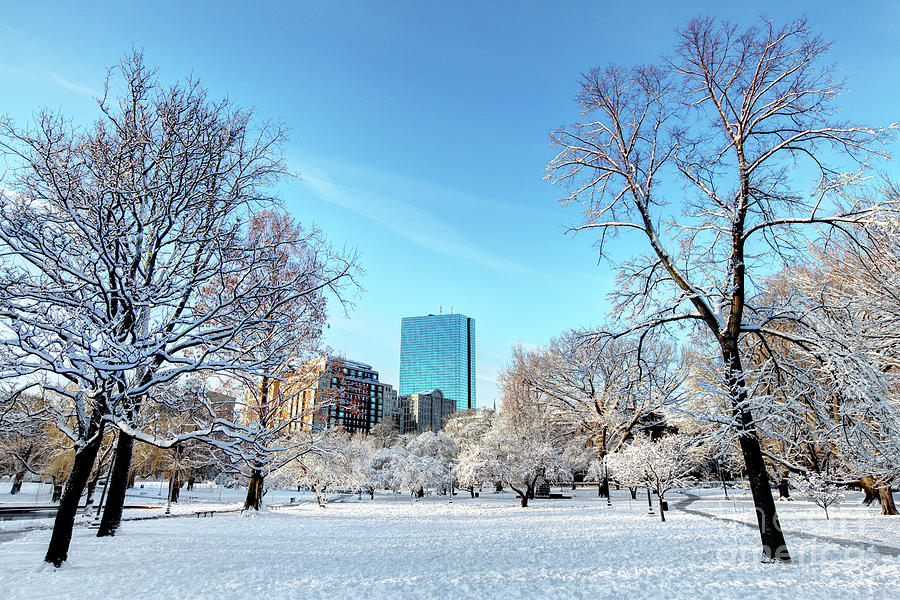 Winter in the Boston Public Garden Photograph by Denis Tangney Jr ...