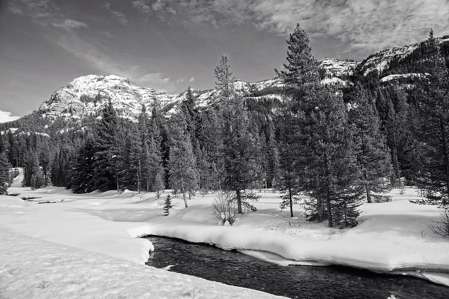 Winter in Yellowstone #1 Photograph by Mountain Dreams