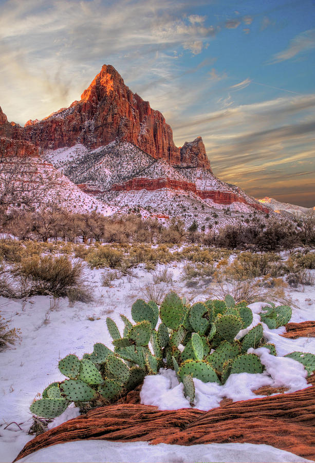 Winter in Zion National park Utah #1 Photograph by Douglas Pulsipher