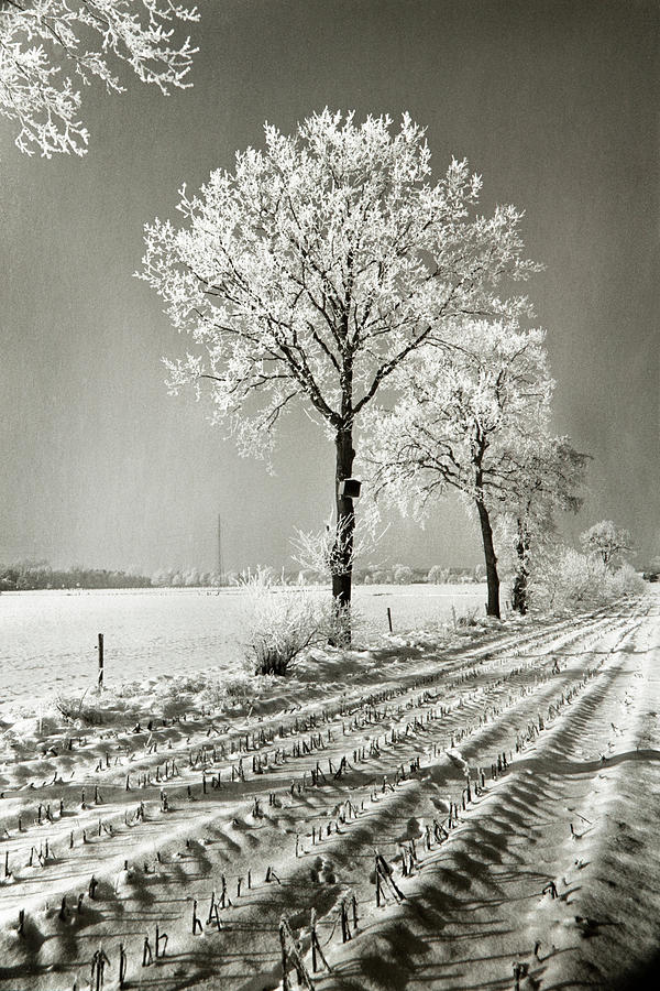 Winter landscape  #1 Photograph by Dirk Ercken