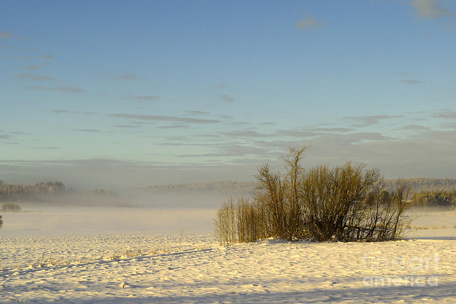 Winter Photograph - Winter Landscape #1 by Esko Lindell