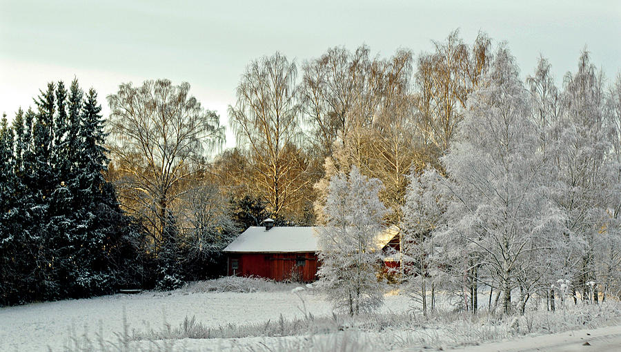 Winter Landscape #1 Photograph by Jarmo Honkanen