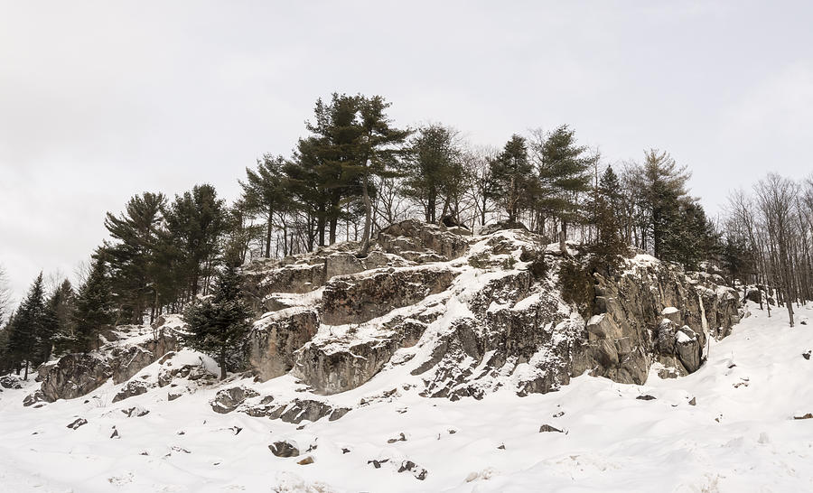 Winter landscape #1 Photograph by Josef Pittner