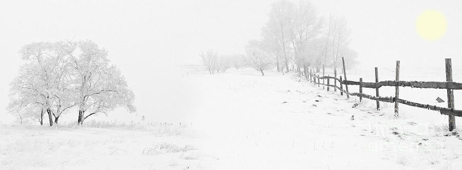 Winter Landscape - Let it Snow #1 Painting by Celestial Images