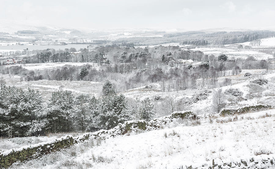 Winter Landscape #1 Digital Art by Mike Taylor