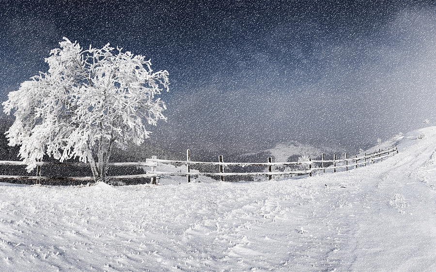 Winter Digital Art - Winter #1 by Maye Loeser