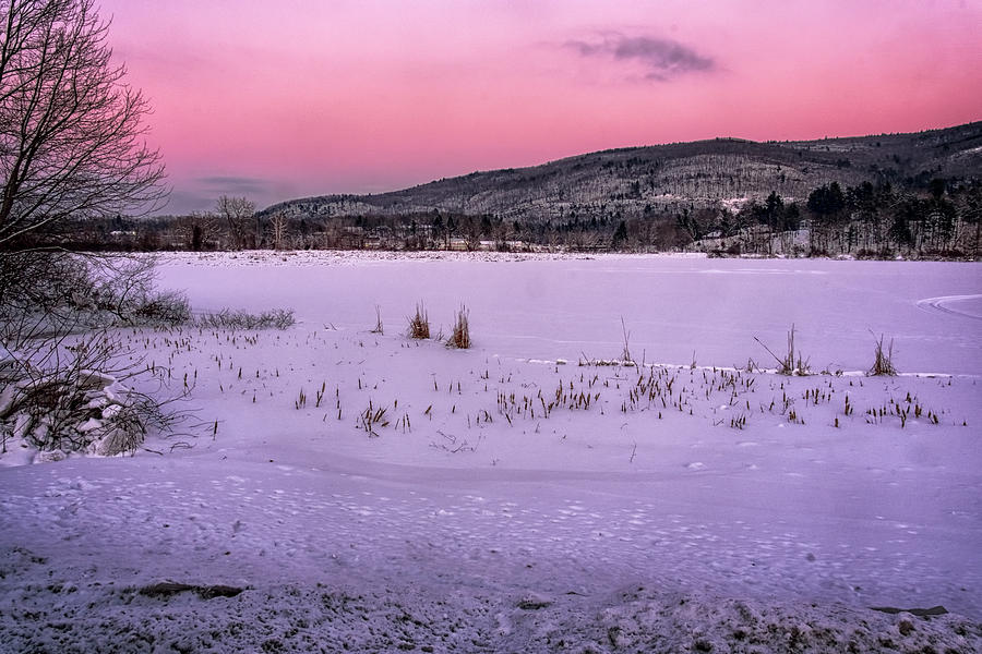 Winter Meadows #1 Photograph by Tom Singleton
