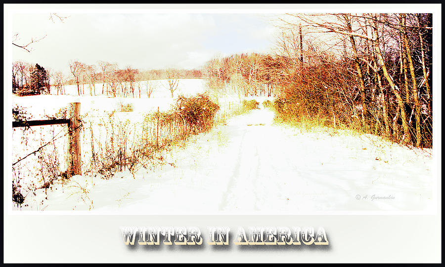 Winter on a Rural Farm Road #1 Photograph by A Macarthur Gurmankin