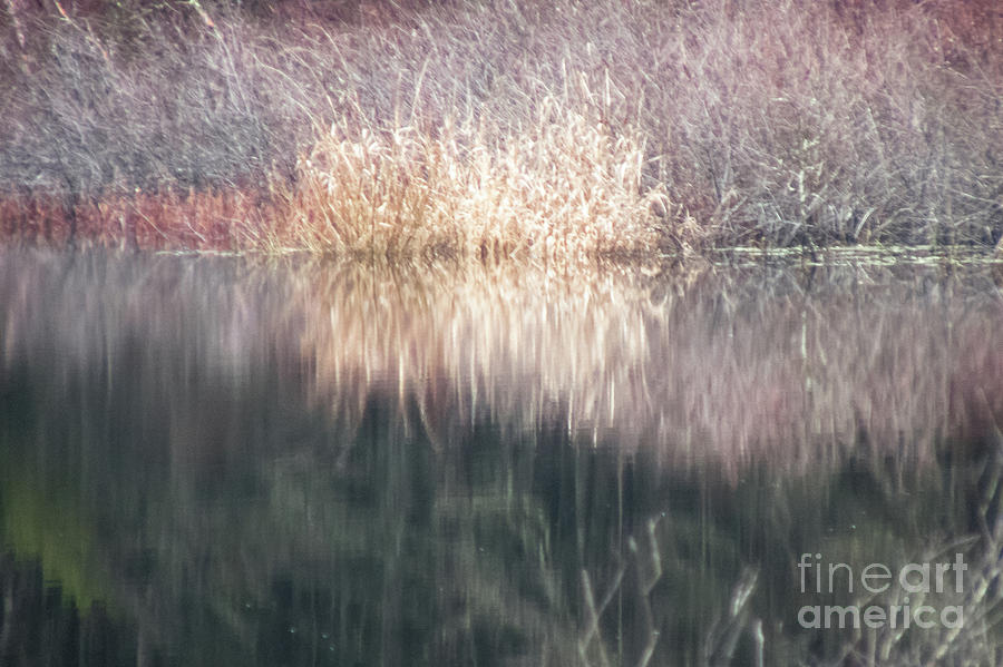 Winter Pond #1 Photograph by Jill Greenaway
