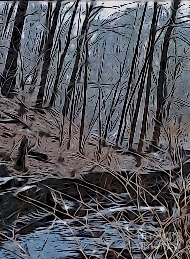 Winter Digital Art - Winter Ravine #1 by David Boudreau