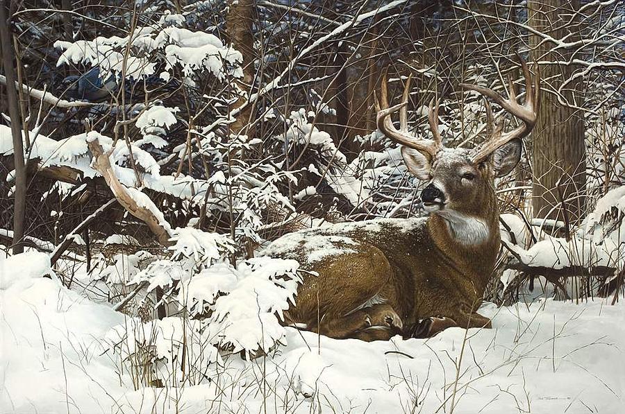 Wildlife Painting - Winter Retreat #1 by Bob Travers