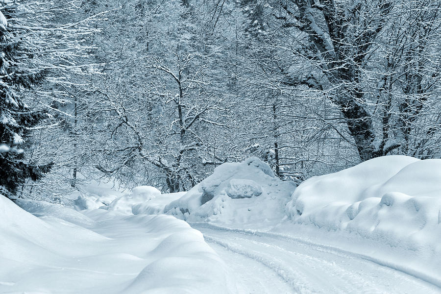 Winter Road #1 Photograph by Svetlana Sewell