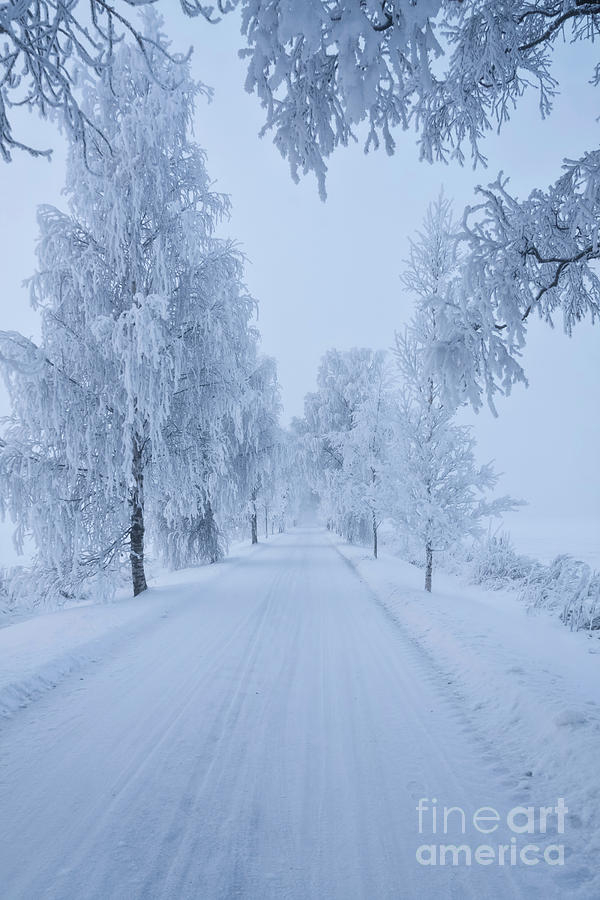 Winter  Road Photograph