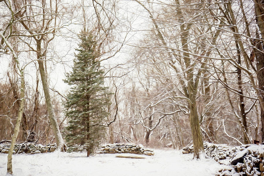 Winter Scene #7 Photograph by June Marie Sobrito