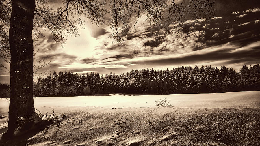Winter Scene #1 Photograph by Mountain Dreams