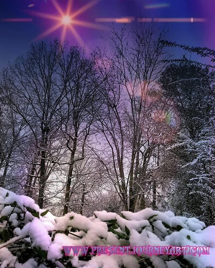 Winter Photograph - winter Solstice #1 by Rachel Hannah