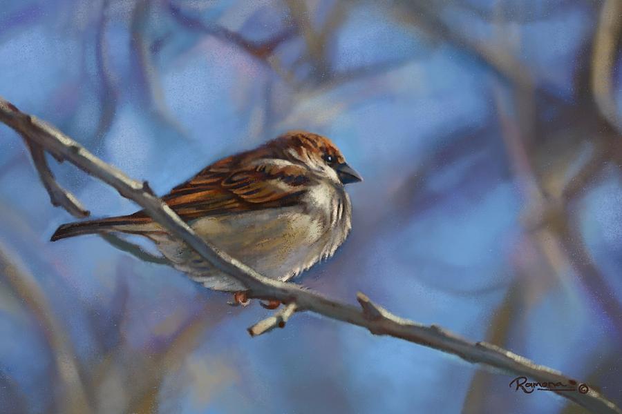 Winter Sparrow #1 Digital Art by Ramona Kurten
