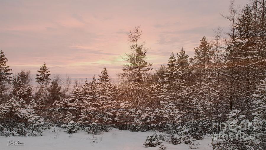 Winter Splendor #2 Digital Art by Jan Mulherin