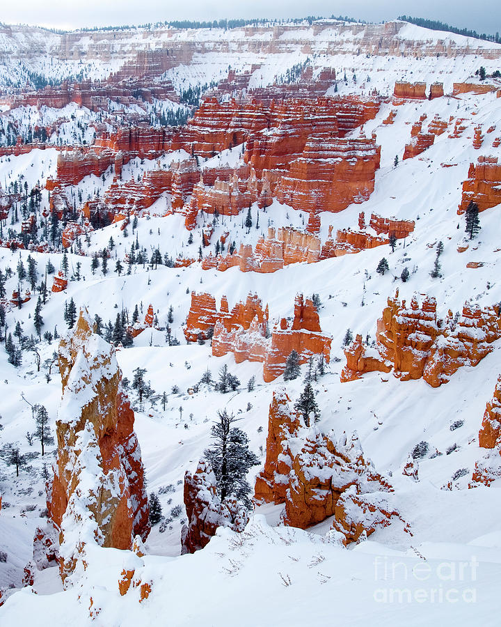 Winter Sunrise Bryce Canyon National Park Utah #1 Photograph by Dave Welling