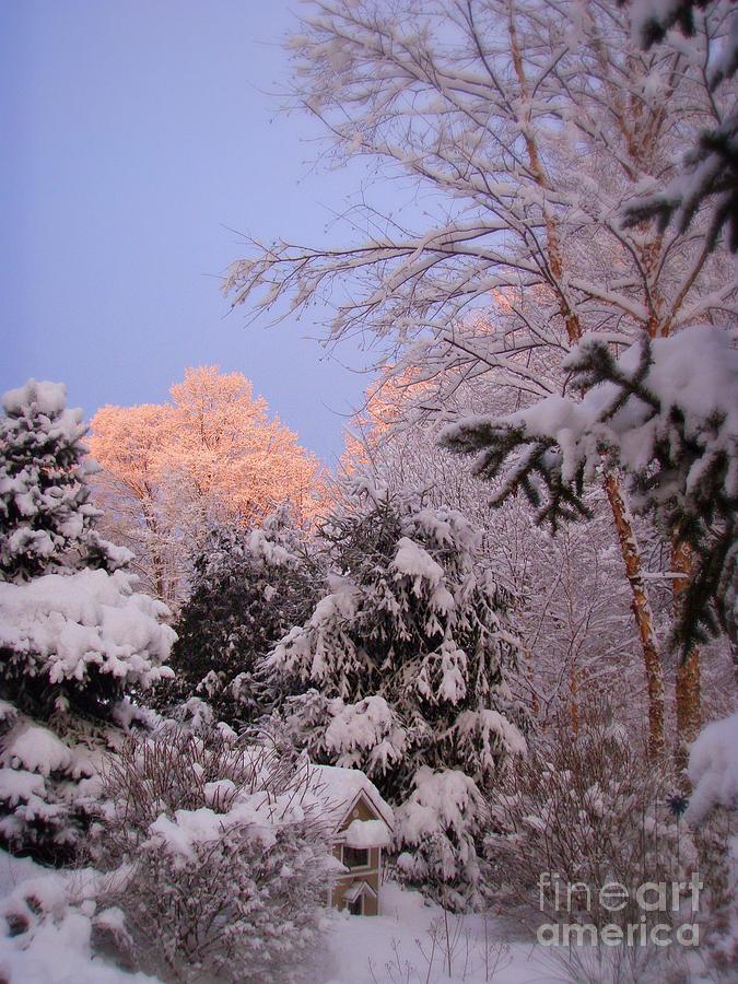 Winter Sunrise #1 Photograph by Kristine Nora