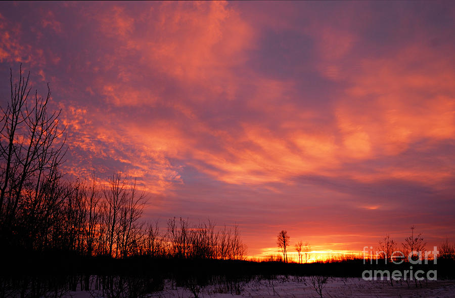 Winter Sunrise #1 Photograph by Larry Ricker
