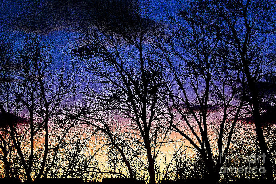Winter Twilight #1 Photograph by Karen Adams