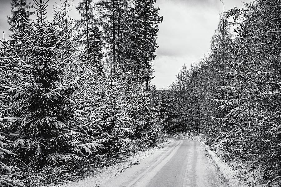 Winter Way #1 Photograph by Jenny Rainbow