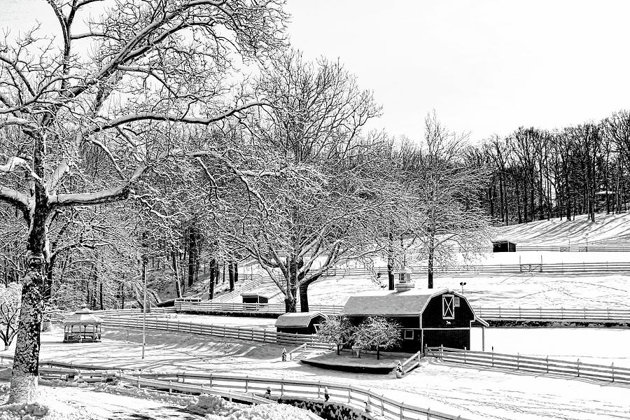 Winter Wonderland 23 Photograph by Allen Beatty