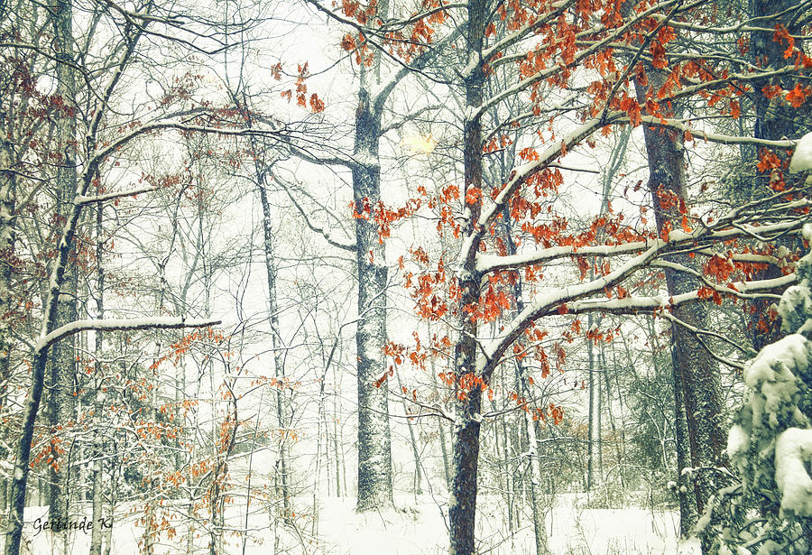 Winter Wonderland Photograph by Gerlinde Keating - Galleria GK Keating Associates Inc
