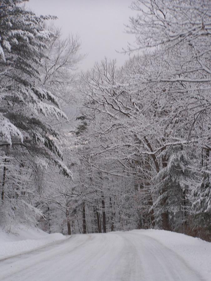 Winter Wonderland #1 Photograph by Lila Mattison