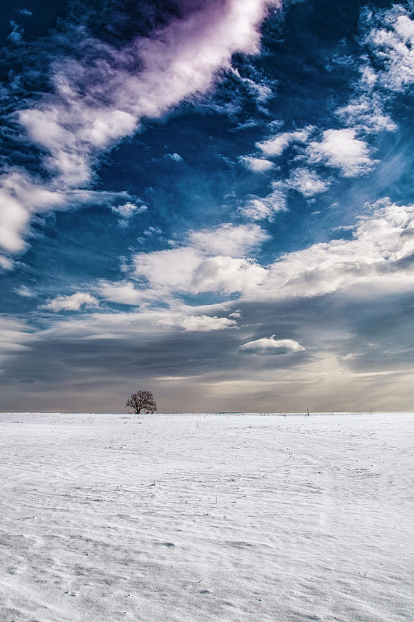 Winter Wonderland #1 Photograph by Plamen Petkov