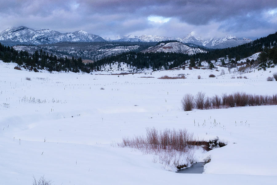 Pagosa Winter Pasture by Jason Coward Pagosa Winter Pasture by Jason Coward