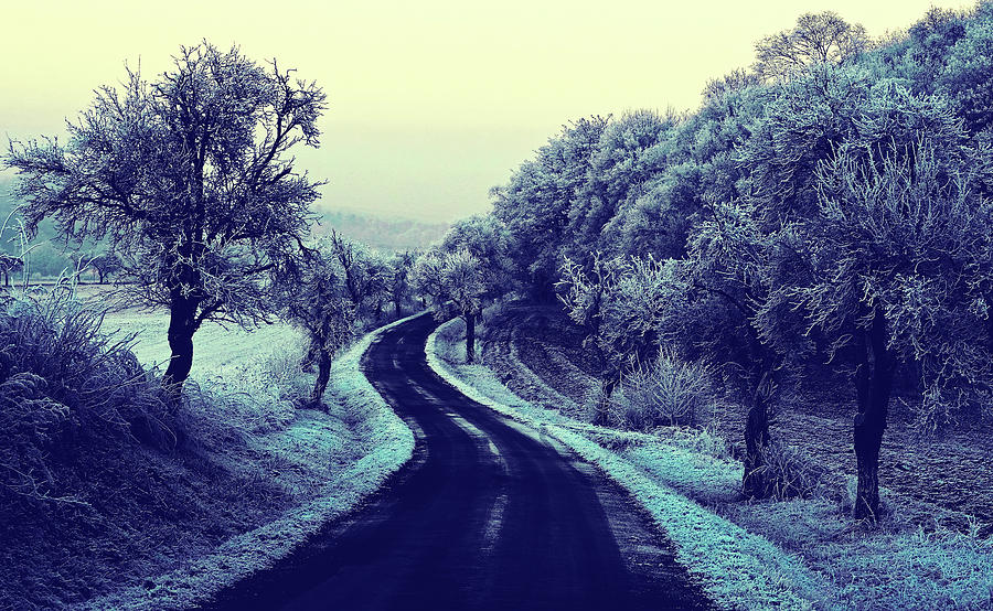 Wintry Country Road #1 Photograph by Mountain Dreams