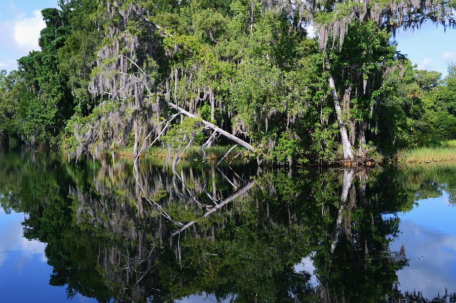 Withlacoochee Reflections #2 Photograph by Warren Thompson