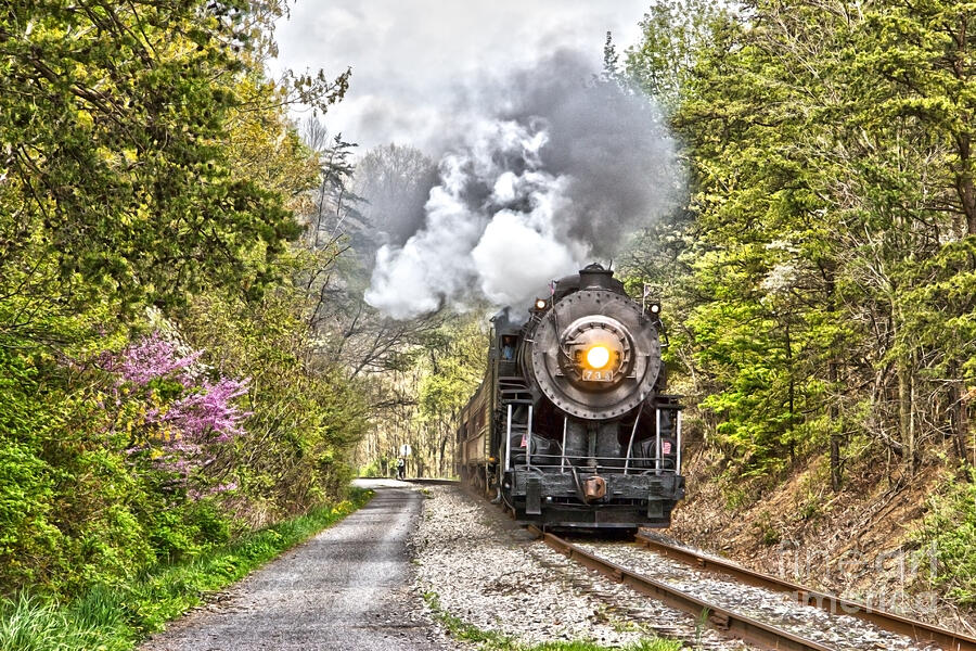 WMSR Steam Engine 734  Photograph by Jeannette Hunt