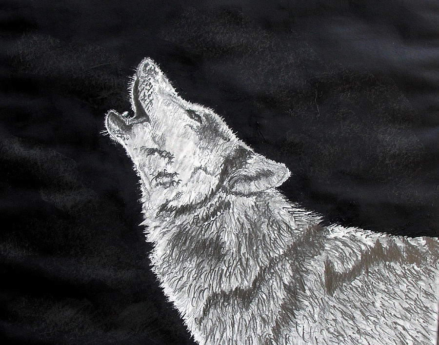 Wolf Howl #1 Drawing by Stan Hamilton
