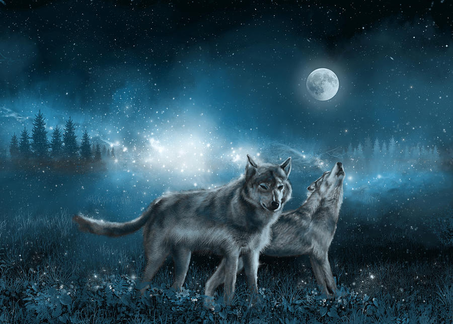 Wolf In The Moonlight Painting By Bekim M