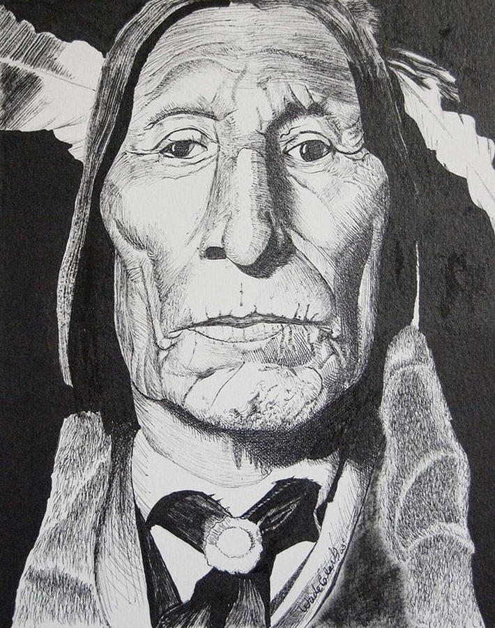 Wolf Robe #1 Drawing by Wade Clark