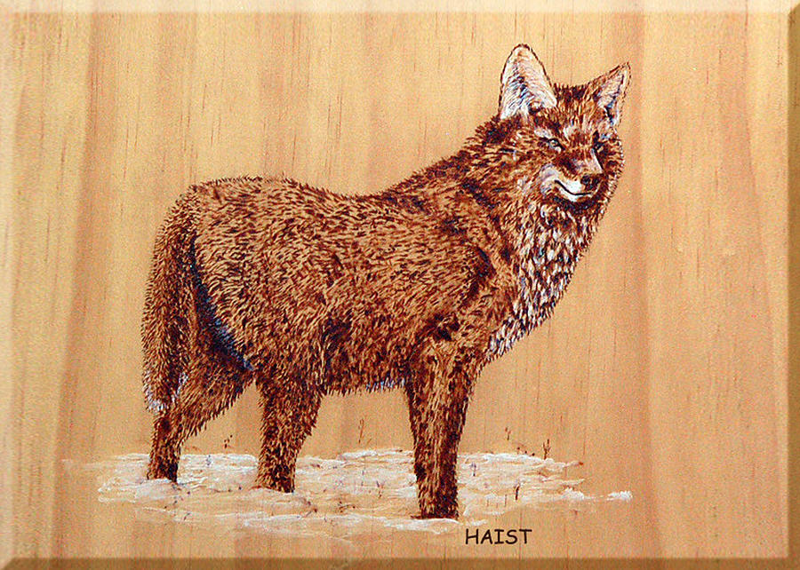 Wolf #1 Pyrography by Ron Haist