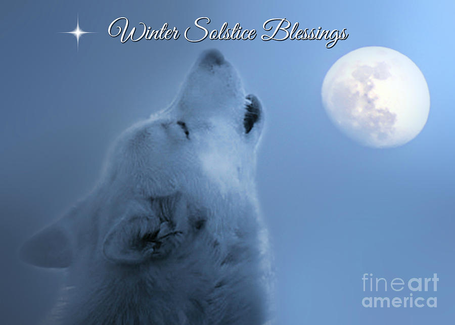Wolf Winter Solstice Blessings #1 Photograph by Stephanie Laird